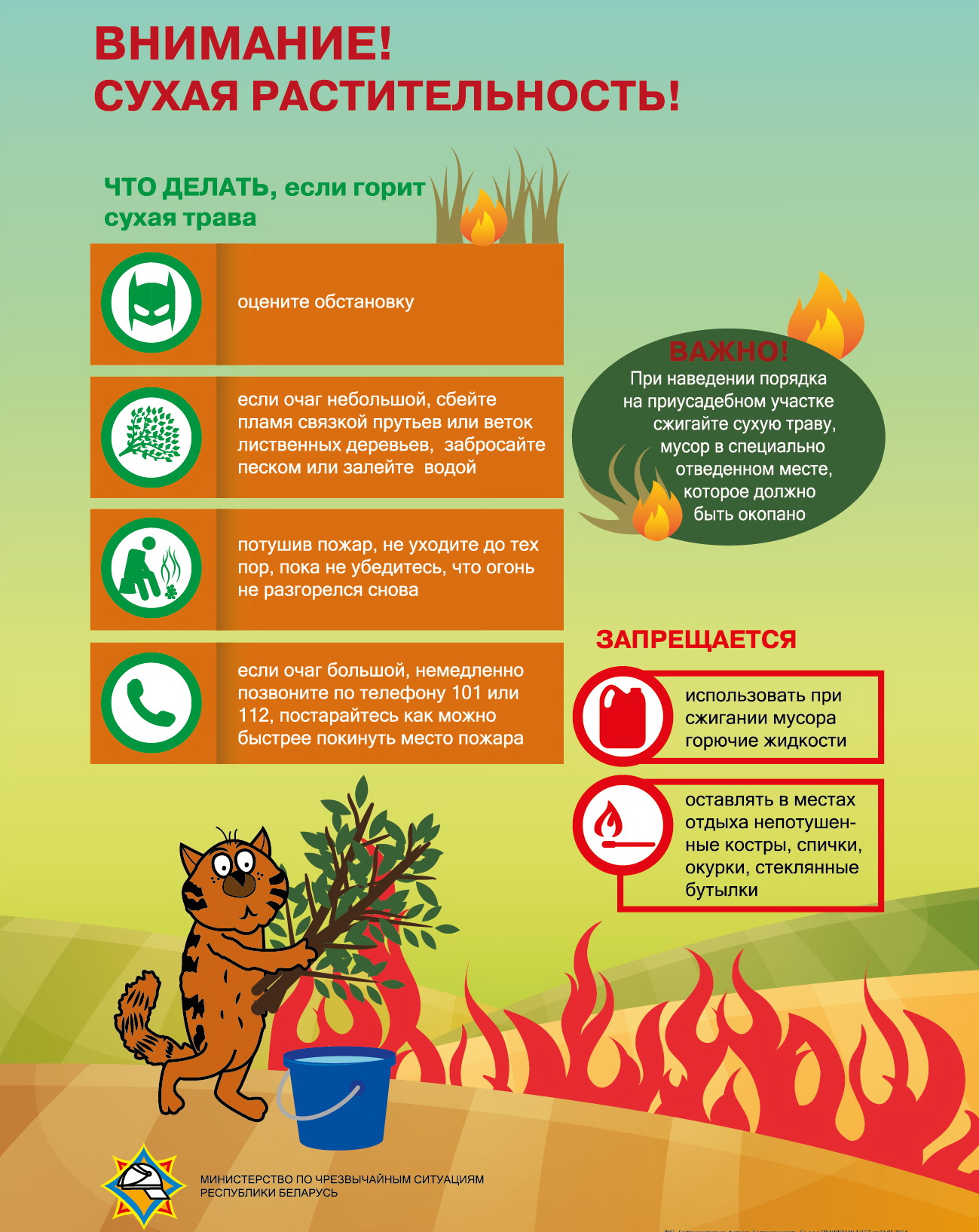 Сухая растительность