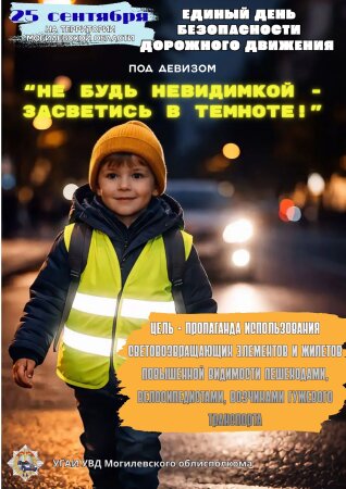 Единый день безопасности дорожного движения