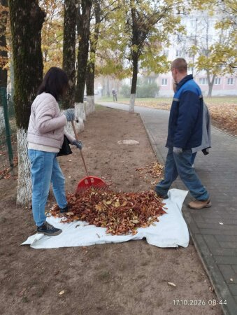 ✨ОБЩЕГОРОДСКОЙ СУББОТНИК✨