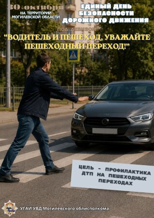 Единый день безопасности дорожного движения